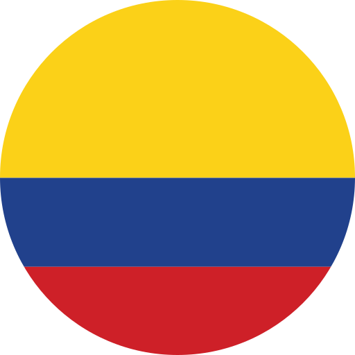 Bandera de CO